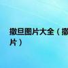 撒旦图片大全（撒旦图片）