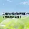 艾晚的水仙球告诉我们什么道理（艾晚的水仙球）