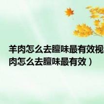 羊肉怎么去膻味最有效视频（羊肉怎么去膻味最有效）