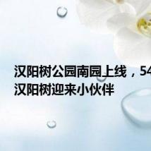 汉阳树公园南园上线,540多岁汉阳树迎来小伙伴
