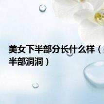 美女下半部分长什么样（美女下半部洞洞）