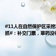 #11人在自然保护区采挖草药被抓#:补交门票,草药没收
