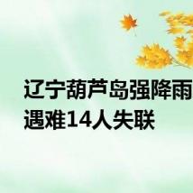 辽宁葫芦岛强降雨10人遇难14人失联
