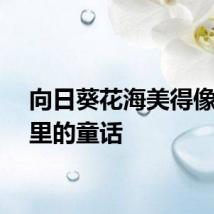 向日葵花海美得像秋天里的童话