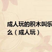 成人玩的积木叫乐高什么(成人玩)