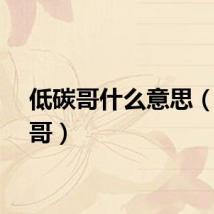 低碳哥什么意思（低碳哥）
