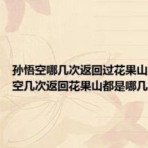 孙悟空哪几次返回过花果山（孙悟空几次返回花果山都是哪几次）