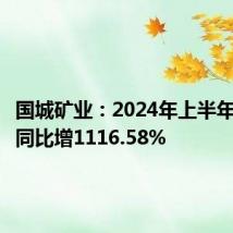 国城矿业:2024年上半年净利润同比增1116.58%