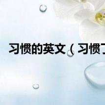 习惯的英文（习惯了）