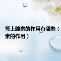 肾上腺素的作用有哪些(肾上腺素的作用)