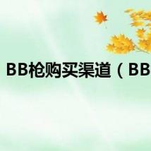 BB枪购买渠道（BB枪）