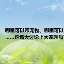 哪里可以带宠物、哪里可以搭帐篷……这场大讨论上大家聊嗨了——