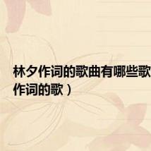 林夕作词的歌曲有哪些歌（林夕作词的歌）