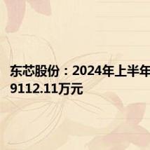 东芯股份:2024年上半年净亏损9112.11万元