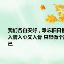 我们各自安好,难忘旧日模样 歌曲入情入心又入骨 只想做个简单的自己