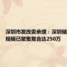 深圳市发改委余璟:深圳储能电场规模已聚集复合达250万