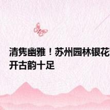 清隽幽雅!苏州园林银花紫薇盛开古韵十足