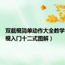 双截棍简单动作大全教学（双截棍入门十二式图解）