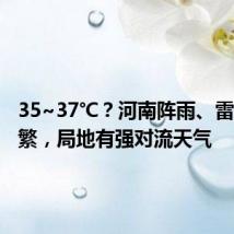 35~37℃?河南阵雨、雷阵雨频繁,局地有强对流天气