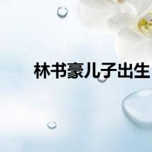 林书豪儿子出生