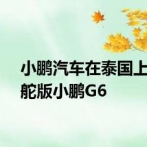 小鹏汽车在泰国上市右舵版小鹏G6