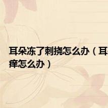 耳朵冻了刺挠怎么办(耳朵冻了痒怎么办)