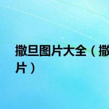 撒旦图片大全（撒旦图片）