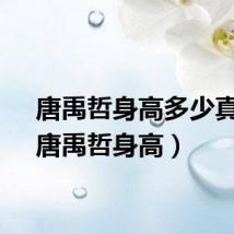唐禹哲身高多少真实（唐禹哲身高）