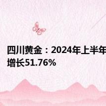 四川黄金:2024年上半年净利润增长51.76%