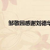 邹敬园感谢刘德华