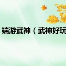 端游武神（武神好玩吗）