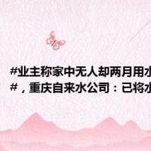 #业主称家中无人却两月用水330吨#,重庆自来水公司:已将水