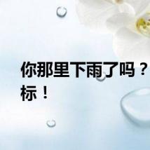 你那里下雨了吗？报坐标！