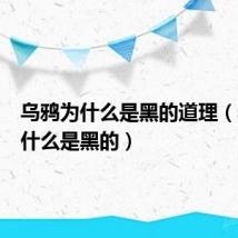 乌鸦为什么是黑的道理(乌鸦为什么是黑的)
