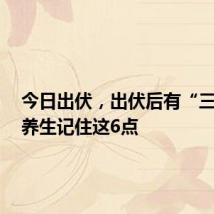 今日出伏,出伏后有“三防”!养生记住这6点