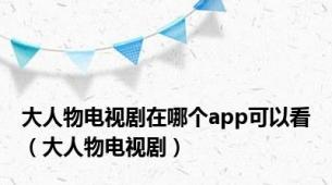 大人物电视剧在哪个app可以看（大人物电视剧）