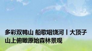 多彩双鸭山 船歌唱饶河丨大顶子山上俯瞰原始森林景观
