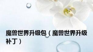 魔兽世界升级包（魔兽世界升级补丁）