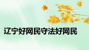 辽宁好网民守法好网民