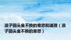 浪子回头金不换的意思和道理（浪子回头金不换的意思）
