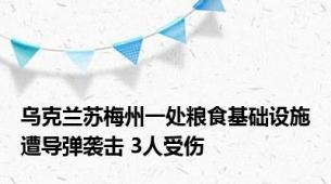 乌克兰苏梅州一处粮食基础设施遭导弹袭击 3人受伤