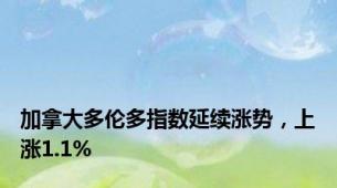 加拿大多伦多指数延续涨势，上涨1.1%