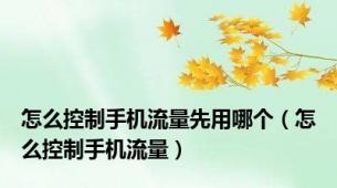 怎么控制手机流量先用哪个（怎么控制手机流量）
