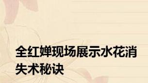 全红婵现场展示水花消失术秘诀