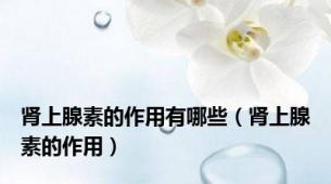肾上腺素的作用有哪些（肾上腺素的作用）