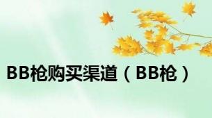 BB枪购买渠道（BB枪）