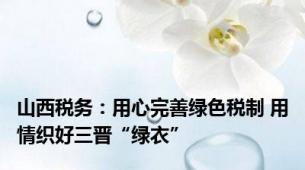 山西税务：用心完善绿色税制 用情织好三晋“绿衣”