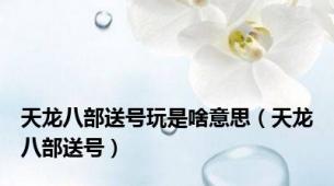 天龙八部送号玩是啥意思（天龙八部送号）