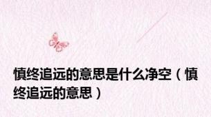 慎终追远的意思是什么净空（慎终追远的意思）