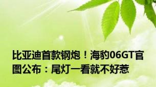 比亚迪首款钢炮！海豹06GT官图公布：尾灯一看就不好惹